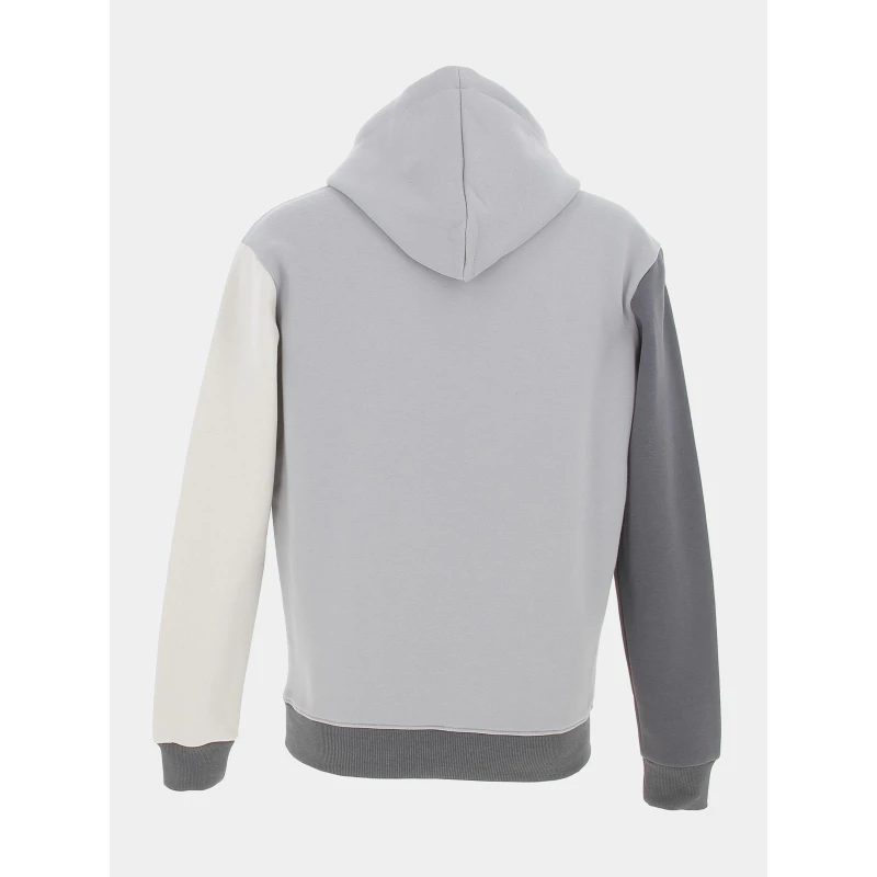 Sweat à Capuche Tricolore Double Logo Gris - Project X Paris 4 Sweat à Capuche Tricolore Double Logo Gris - Project X Paris – Image 2