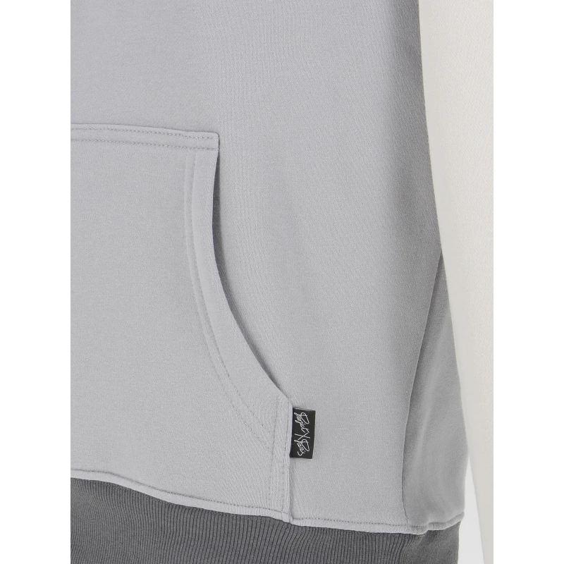 Sweat à Capuche Tricolore Double Logo Gris - Project X Paris 6 Sweat à Capuche Tricolore Double Logo Gris - Project X Paris – Image 4